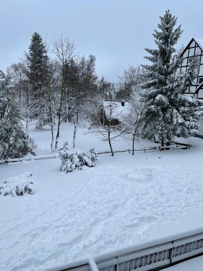 Aventur Studio 212 Am Rotharrsteig Medebach Eksteriør billede